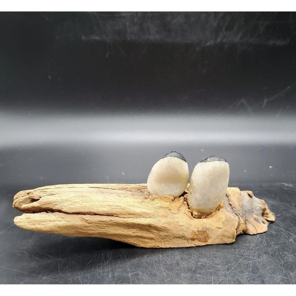 Handmade Whimsical Driftwood Folk Art Stone Penguin Bird Nautical Shorebird 7.5